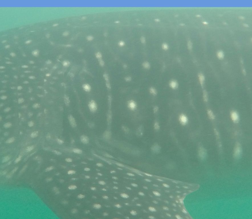 aaa42bb6-4941-4709-a99d-8992f3923c01