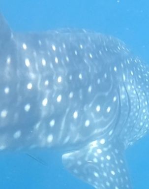 75fa23cf-cbd1-4c79-911b-87e519d78642