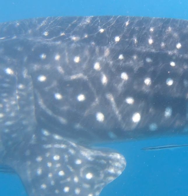 75fa23cf-cbd1-4c79-911b-87e519d78642