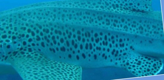 84486d10-0703-4663-8f81-0f34f7a50ea3