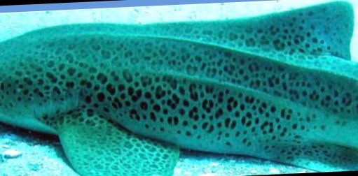 1f2f8fac-102d-4b31-bb8e-24b21987e55d