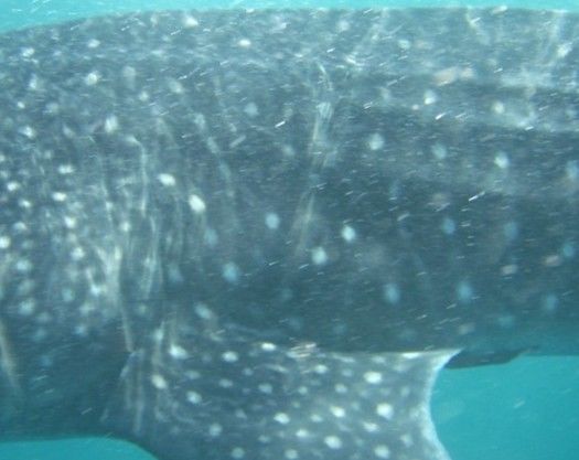 d273c4ca-c539-46fa-ad02-61af54aa3a71