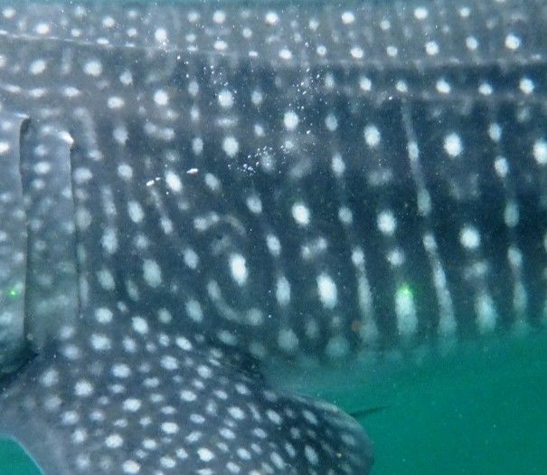 01d8d566-63da-409d-949b-e5b4d45adf03