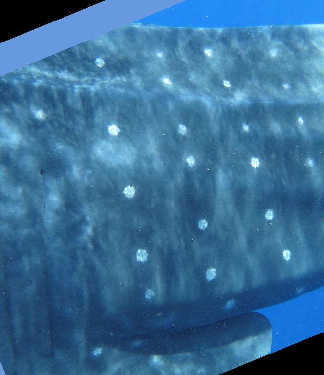 de4964b4-09ab-4eb3-95d7-1bbacd723dd0