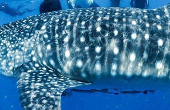 22b244be-2512-4bab-b873-c079bd82c78a