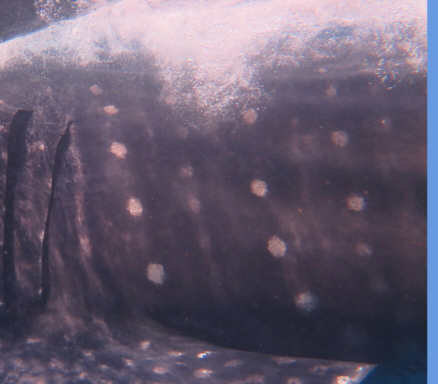 9287a0bf-a366-455d-968c-176aa6f969ca