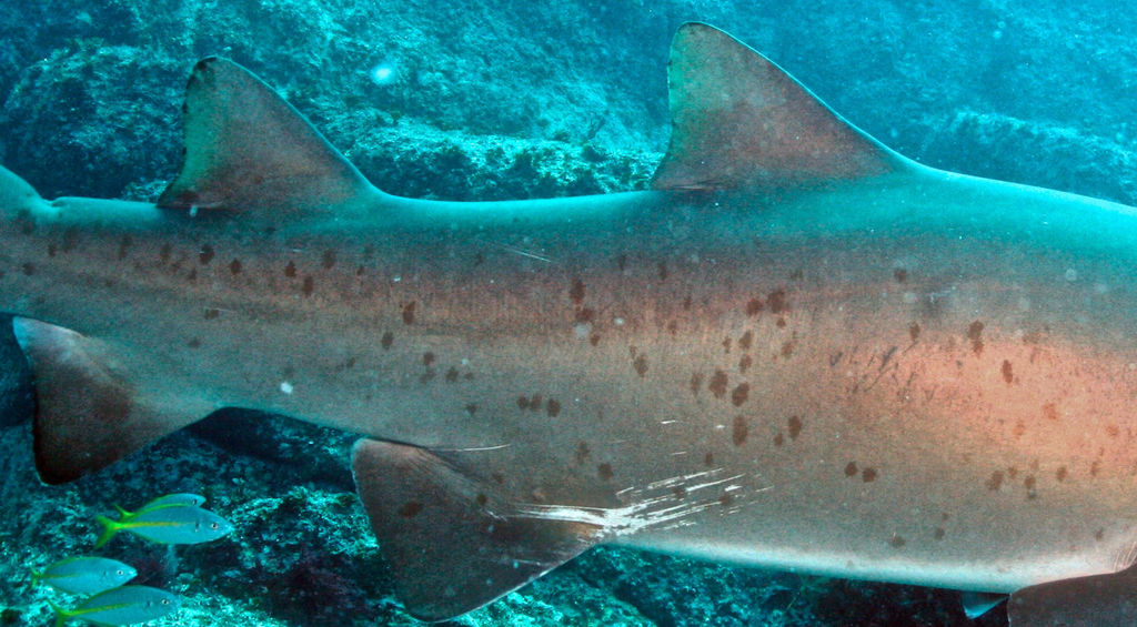 eb097c98-6799-4e38-8cb9-2e364e5df88f