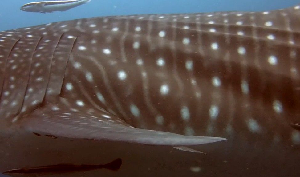 08de1eae-2969-42d7-a58c-8ed43d12292e