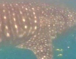 e27b9221-b6db-4806-9d45-c24b3d1aa400