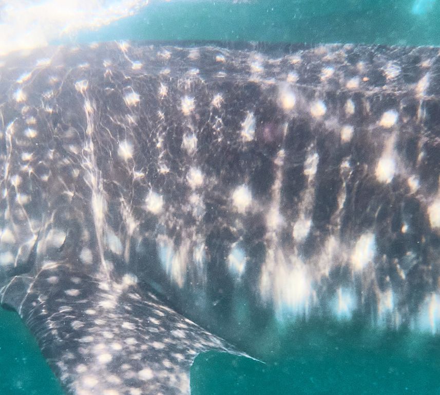 e27b9221-b6db-4806-9d45-c24b3d1aa400