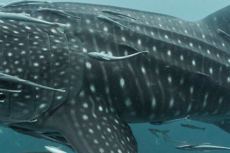 5bba6a75-6583-4b6e-9325-b8a3550464b3