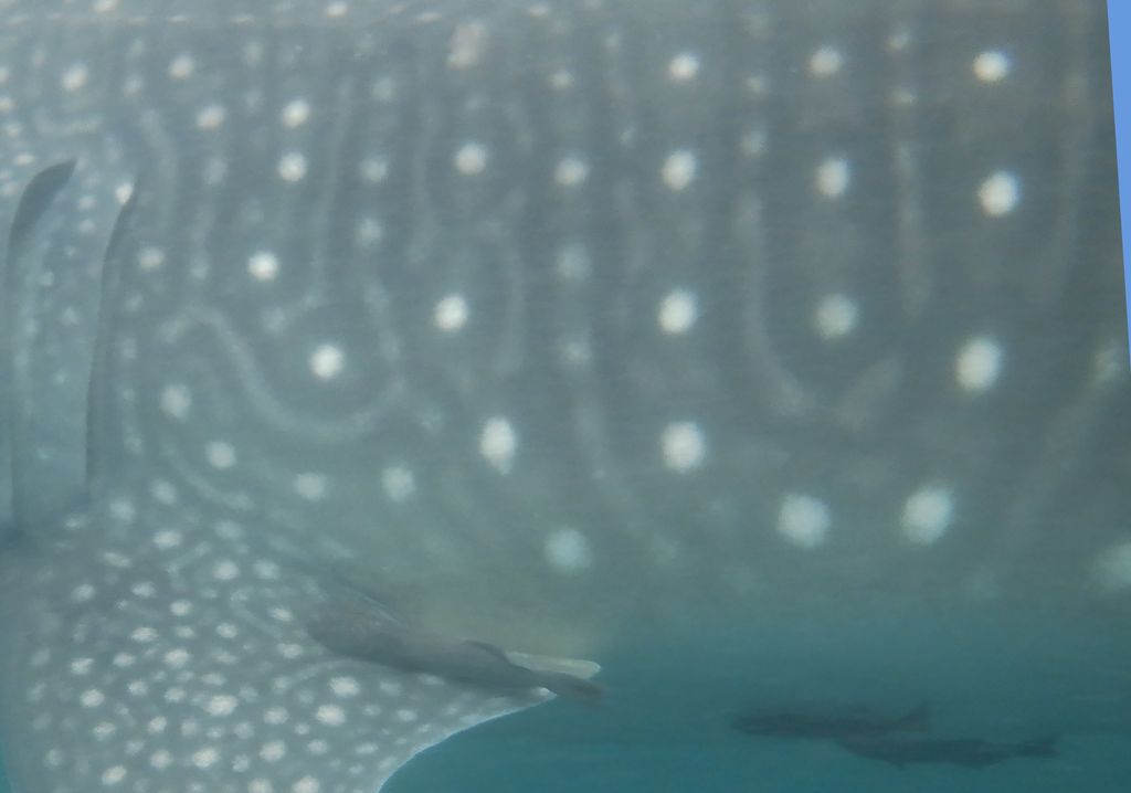 5e8367f3-9433-4252-8126-a32a822b9a7c