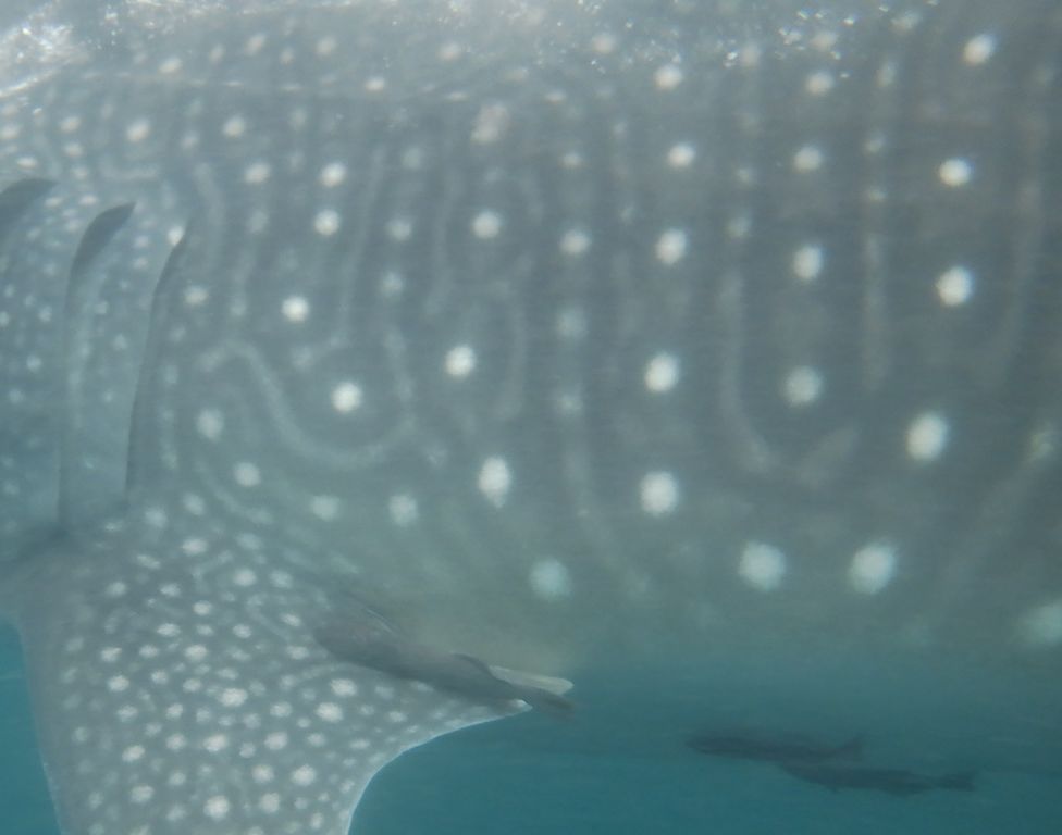 5e8367f3-9433-4252-8126-a32a822b9a7c