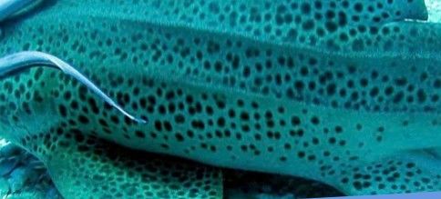 1ee73e93-0ce1-4d1b-901b-009d9a61ecb0