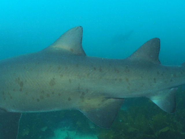 27bf62f6-98b3-4675-8cbe-35a6adf1df88