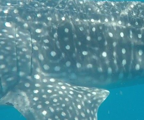 05008841-665d-4d7c-8994-0a9bd5519d17