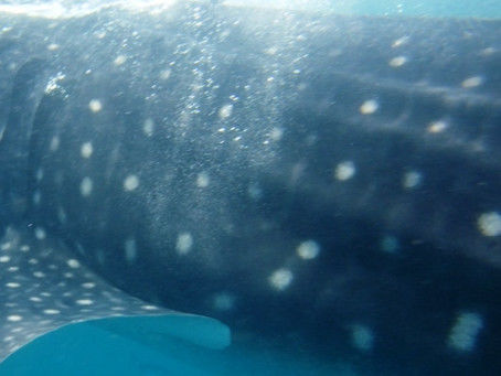 5dfe9d46-4be1-4609-ab54-b3c538788596