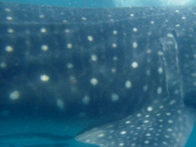 5dfe9d46-4be1-4609-ab54-b3c538788596