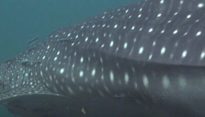 29f29f3b-6fa2-4815-95b4-773af226cc48