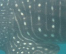 db297e05-e618-40af-b20d-16092b829ab1