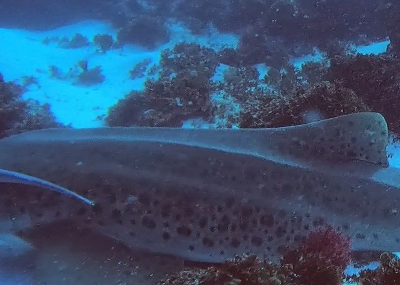 3c392ea8-9328-4a40-922e-5ee2bb19675c