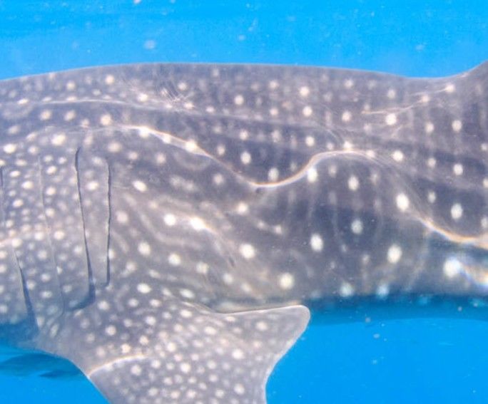 866d51bb-b578-4e5e-8bf0-90e76ecfffa8