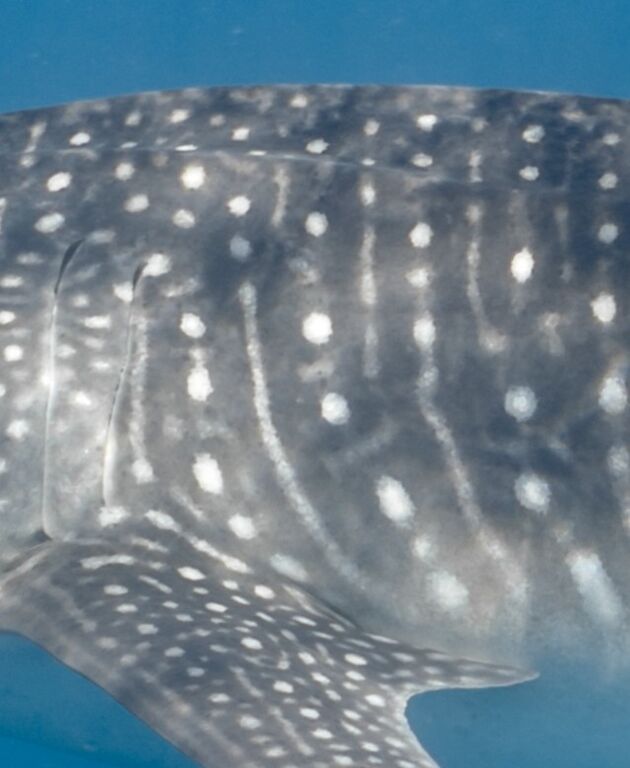 ccaf60c5-25db-42d3-b4d2-a2a362c046d3