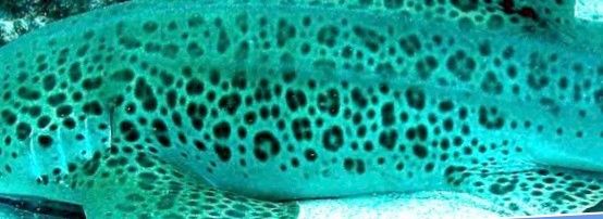 c1bd8bbe-7b47-4e04-a29a-630b153e0ab9