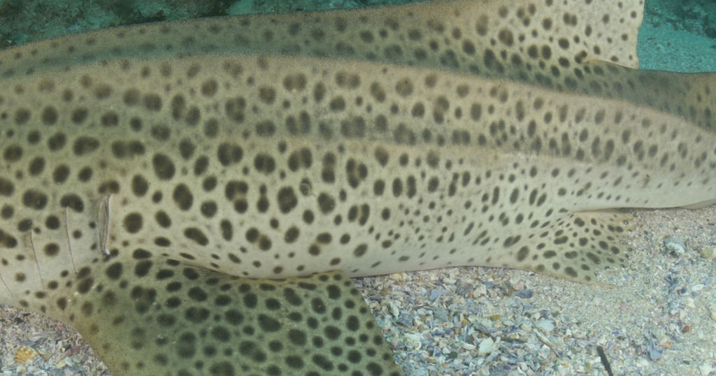 cad3d0cd-d7e4-47a0-afa3-68eee758c514