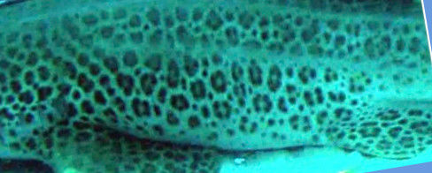 df1798a3-a115-4cdc-8448-65e78fa5eb80