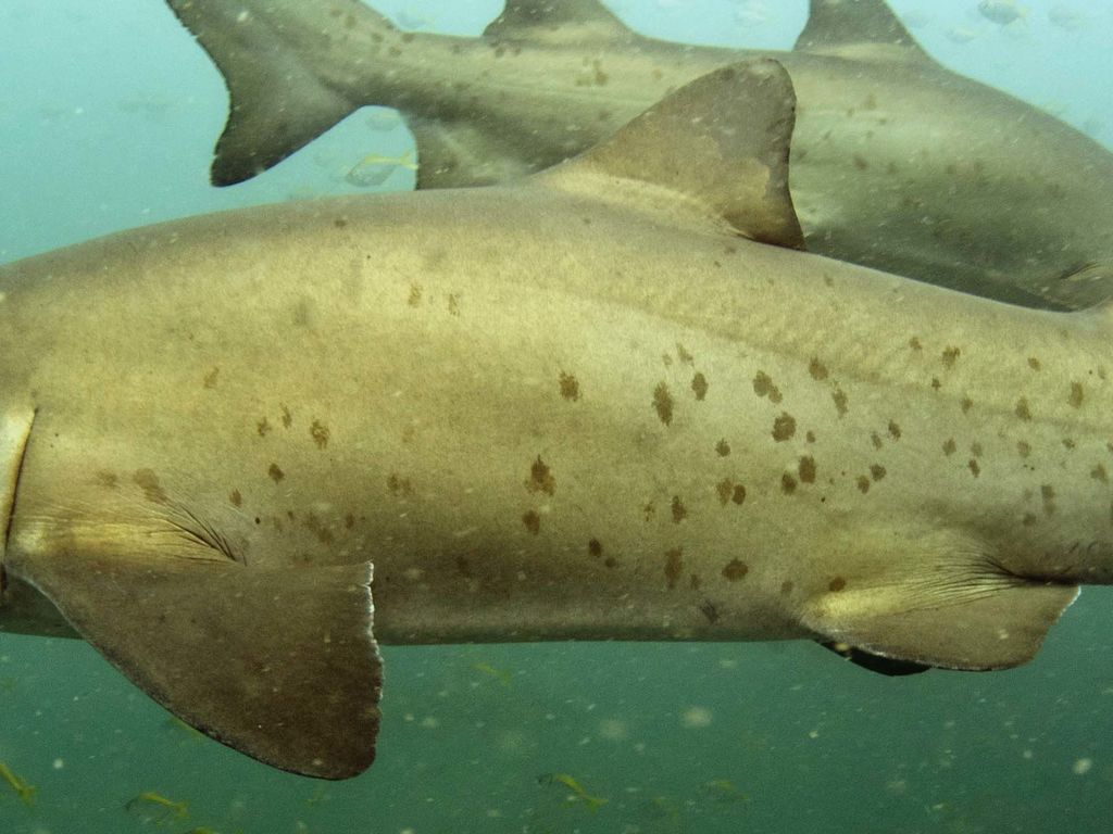 db03f8e0-5ac8-4177-a845-94e9c59049f8