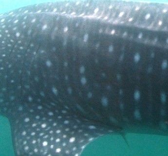 b0142963-70e9-434a-b5e7-b2e04eeb8751