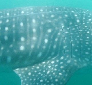 b0142963-70e9-434a-b5e7-b2e04eeb8751