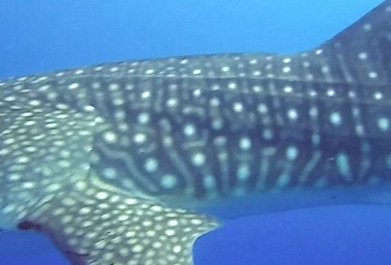 ea3b1e36-b949-4e94-9a75-61f9f2f54c7c