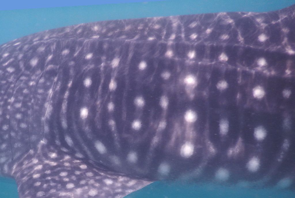 10a06e96-1eb8-445b-98ca-78534d383fbe