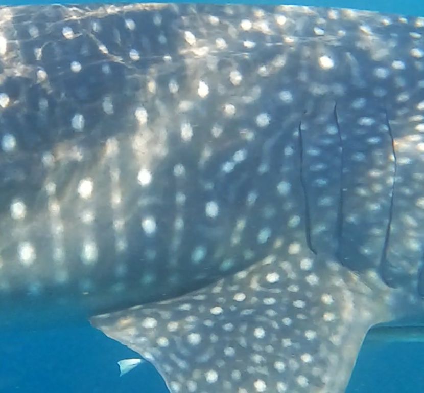 49aa70b6-adb0-4f58-914d-fbd93720541d