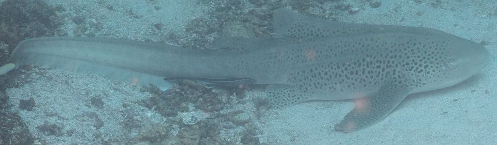 0ba7a75c-d64d-460e-89e1-ac8a6802ba7d