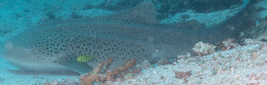 0ba7a75c-d64d-460e-89e1-ac8a6802ba7d