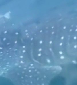 59f7885b-2883-4c8f-aa1a-4b046737a5d9