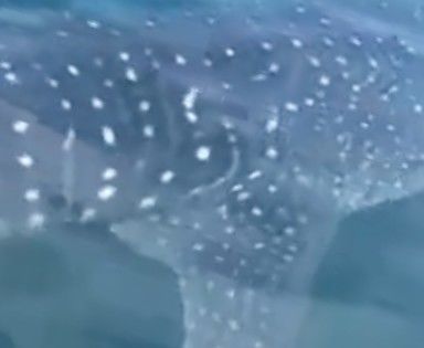 59f7885b-2883-4c8f-aa1a-4b046737a5d9