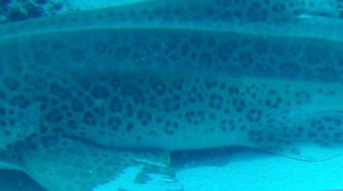 6e88c695-d932-44eb-8e0e-eebf2be447fb