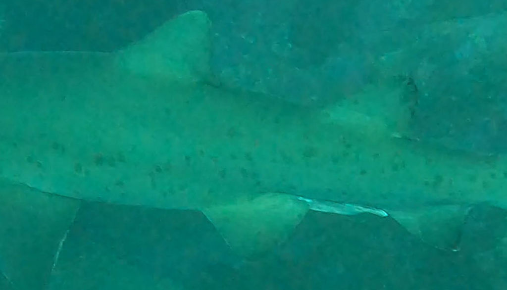 ef6bacb2-f54c-4970-8f7b-590f3e9e1b8c