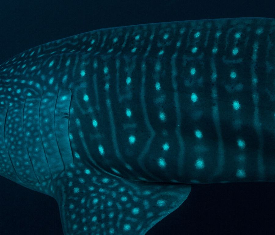 6a688ddb-da75-4551-80a4-a565f20b026d