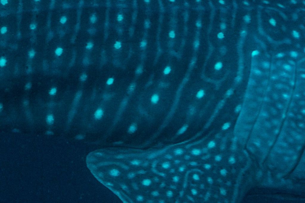 6a688ddb-da75-4551-80a4-a565f20b026d