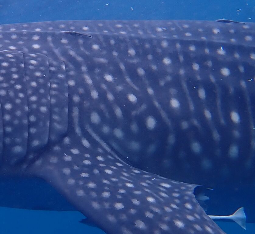 1727b9f9-cf7f-494e-b802-a0fd863c82cd