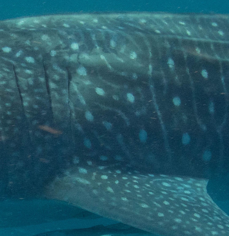 3c47ea5e-43f8-4644-8045-01082a62f57e