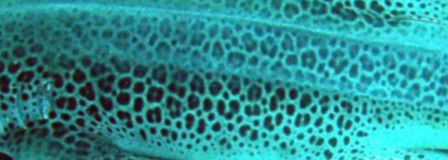 ac5b2311-e44e-4380-bebb-a8e4faed2d1f