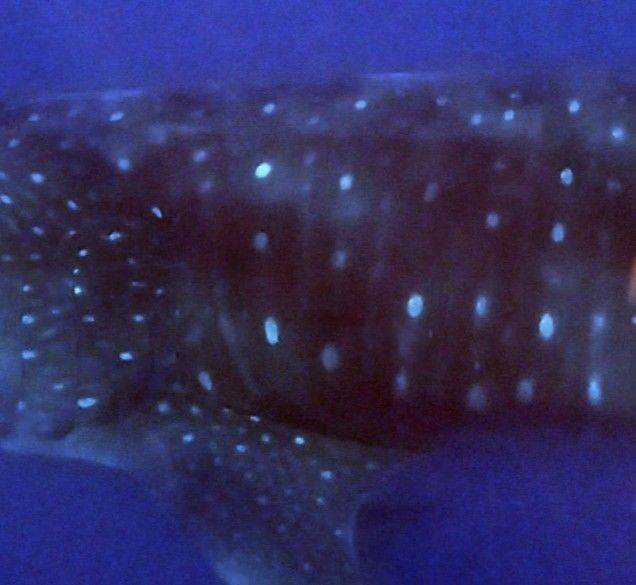 eabbb505-531a-4825-a2cd-a54face05e68