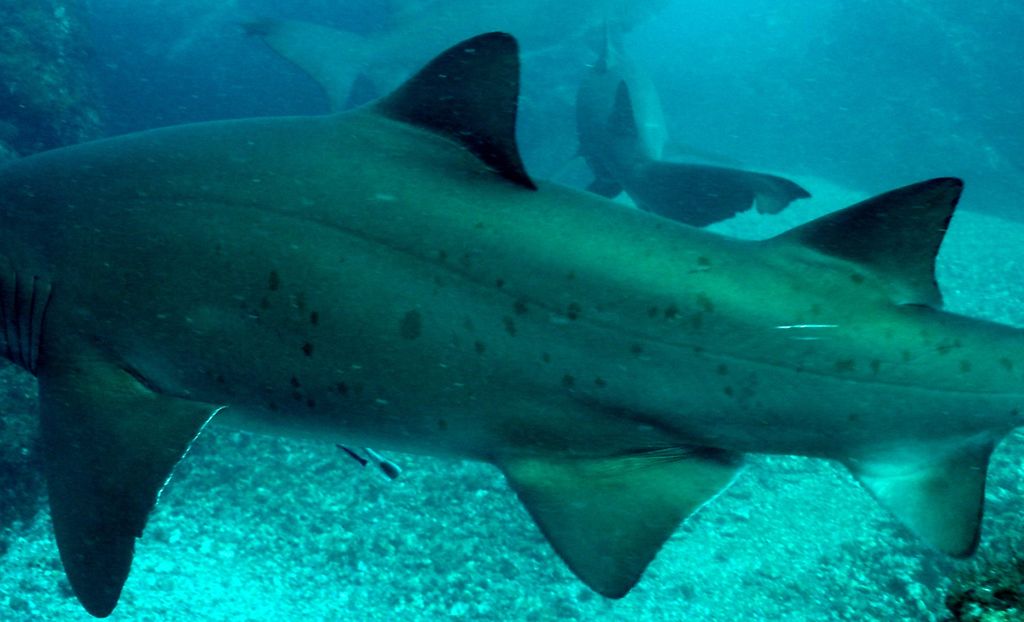 be8afa28-24eb-40cc-acaf-773d20aa306f