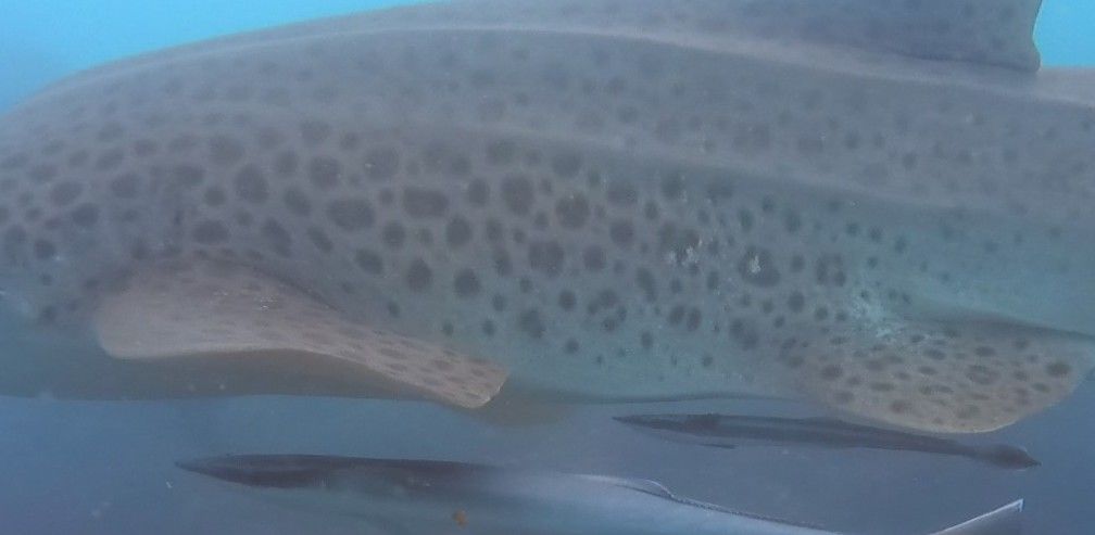 780d76c9-db83-4150-8a8a-c9e99c464ce2